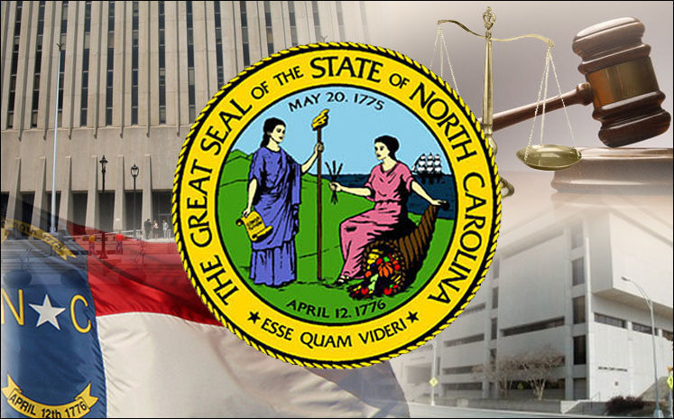 North Carolina state government graphic