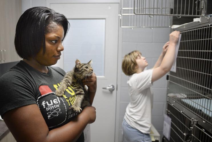 Forsyth, Humane Society still at odds over contract but have more time to  negotiate