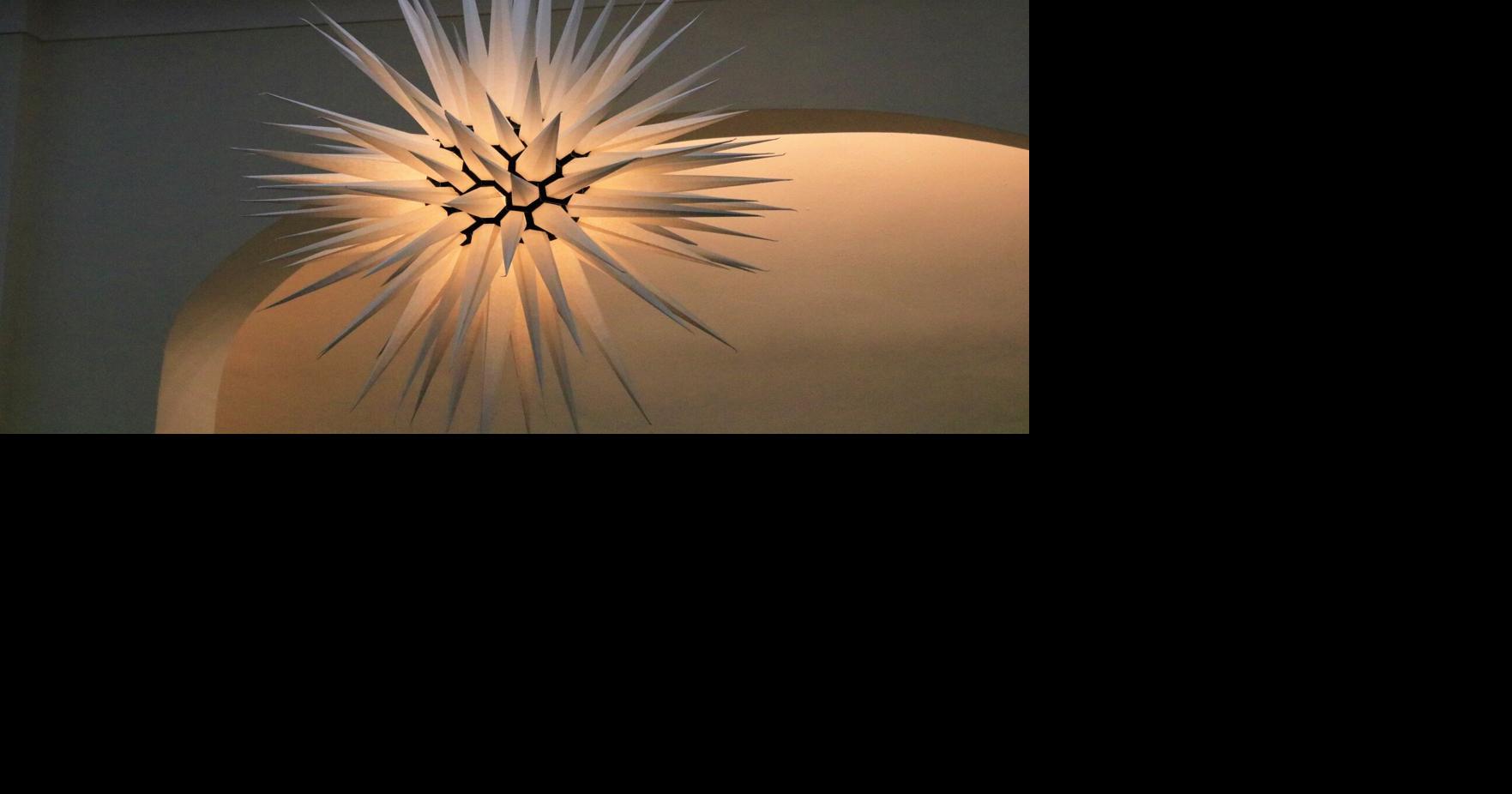 Aging Matters Trellis to offer online planning sessions