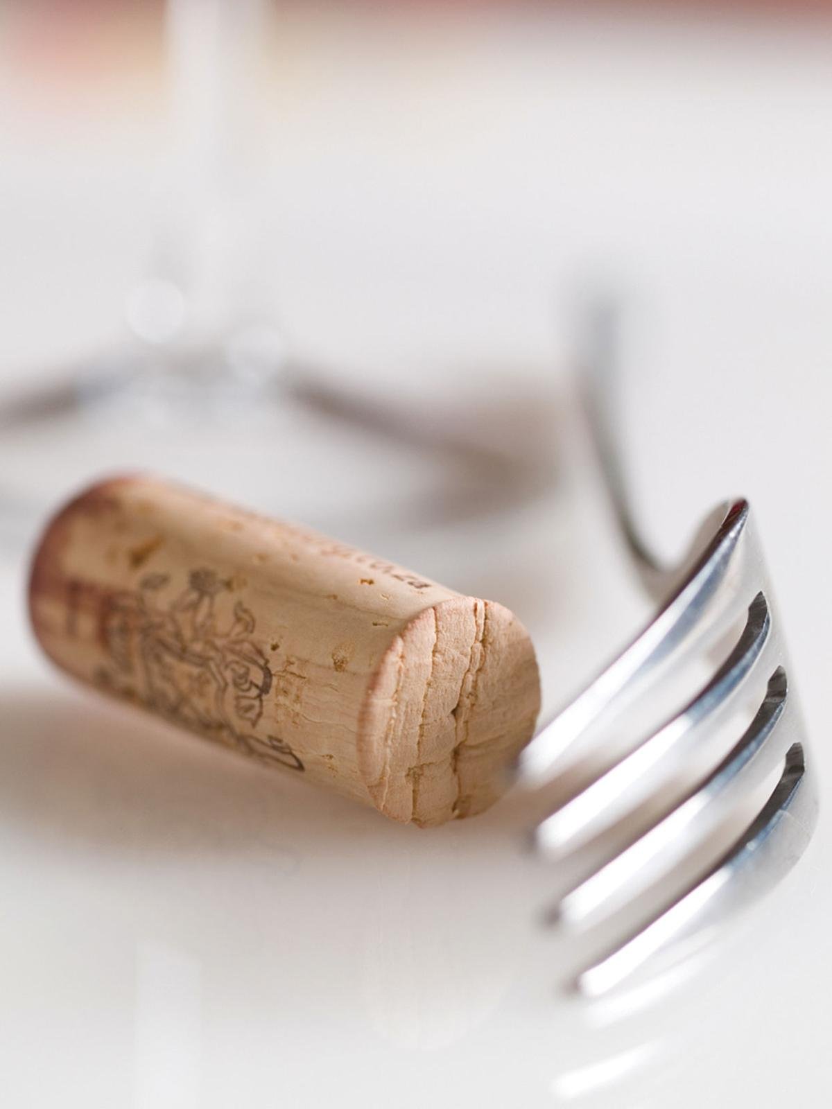 The Cork & Fork Wine and dine your date this year on Valentine’s Day