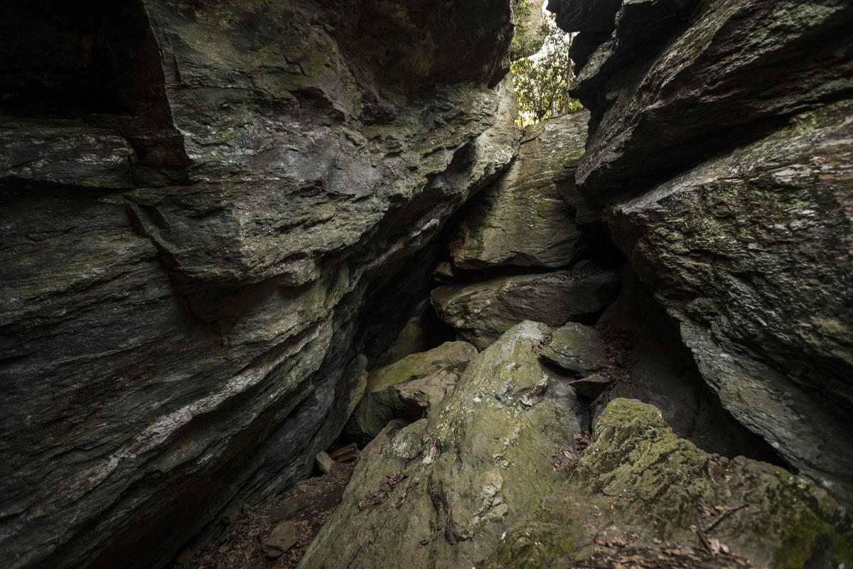 Devil's Den Nature Preserve features cool cave, more Travel