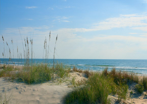 Roadtrip - Pawleys invites visitors to enjoy just the beach | Relish ...