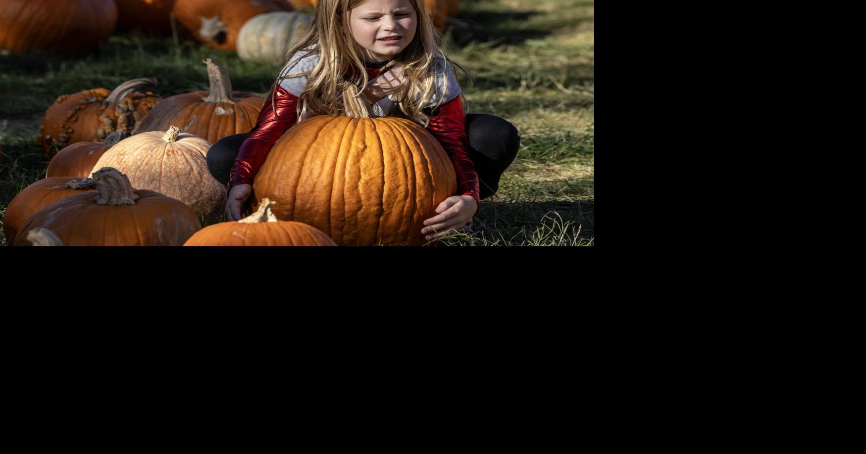 Pumpkins