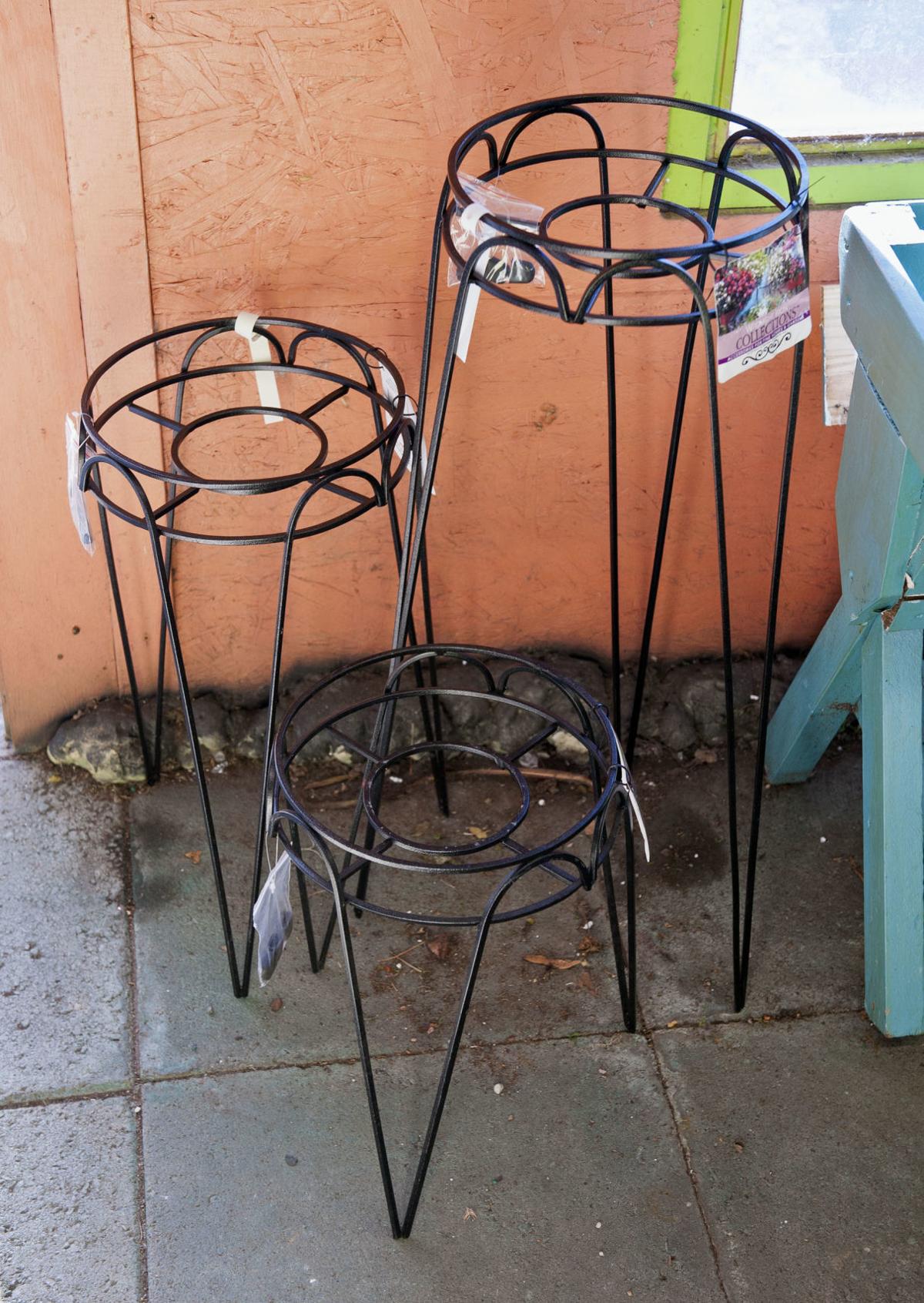 Choosing the right plant stand can free up space and spruce up your home