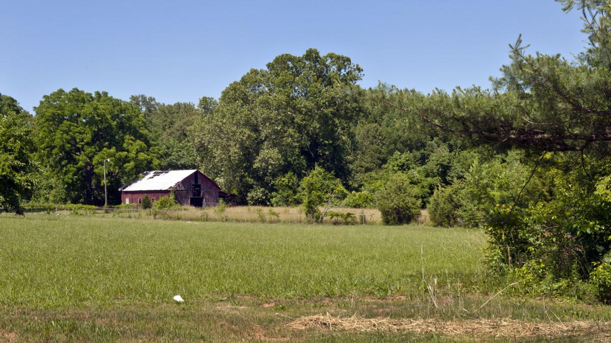 Goat Farm