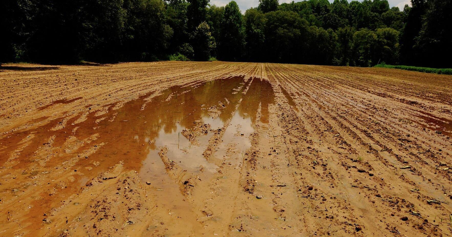 June ends on an excessively wet note - Vimarsana News
