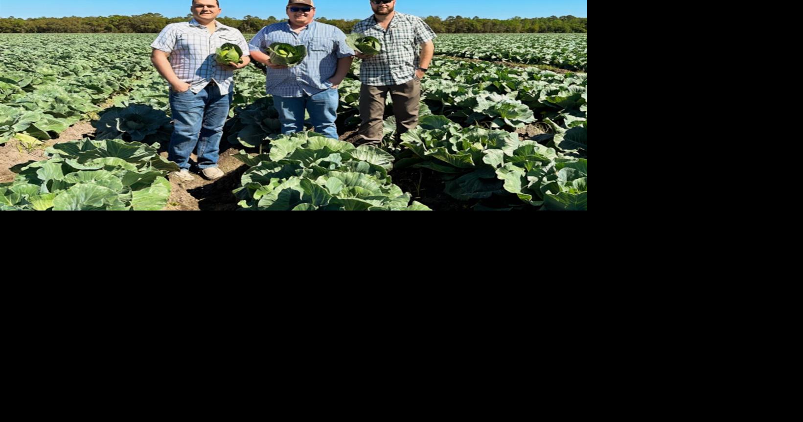 T&J Produce moving to larger facility | News | journalpatriot.com