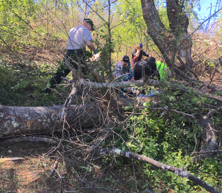 man injured while cutting down tree news journalpatriot com man injured while cutting down tree