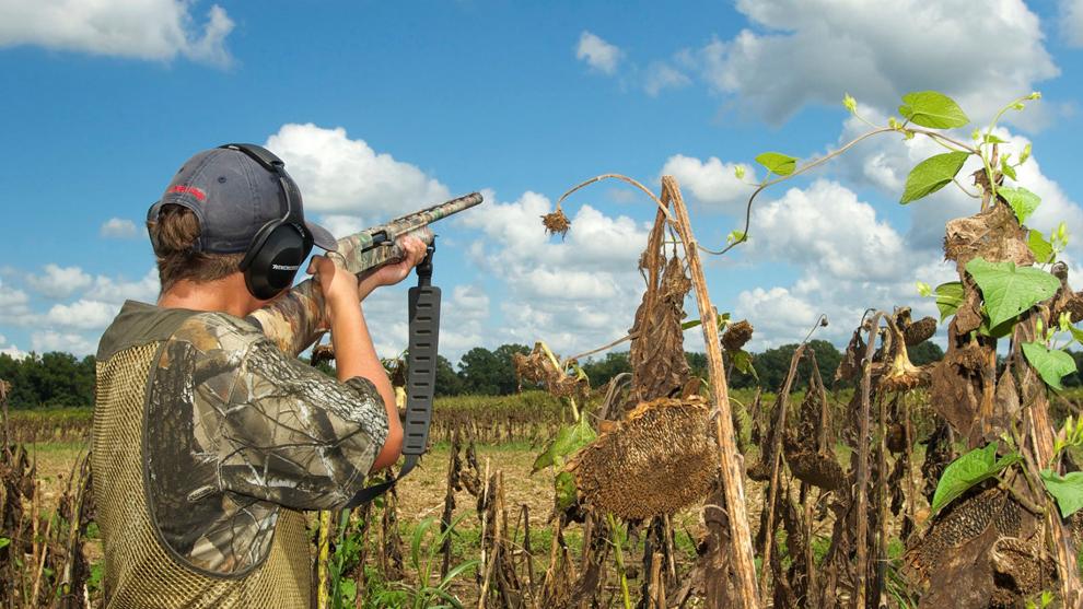 Dove hunting season opens Sept. 4 Sports