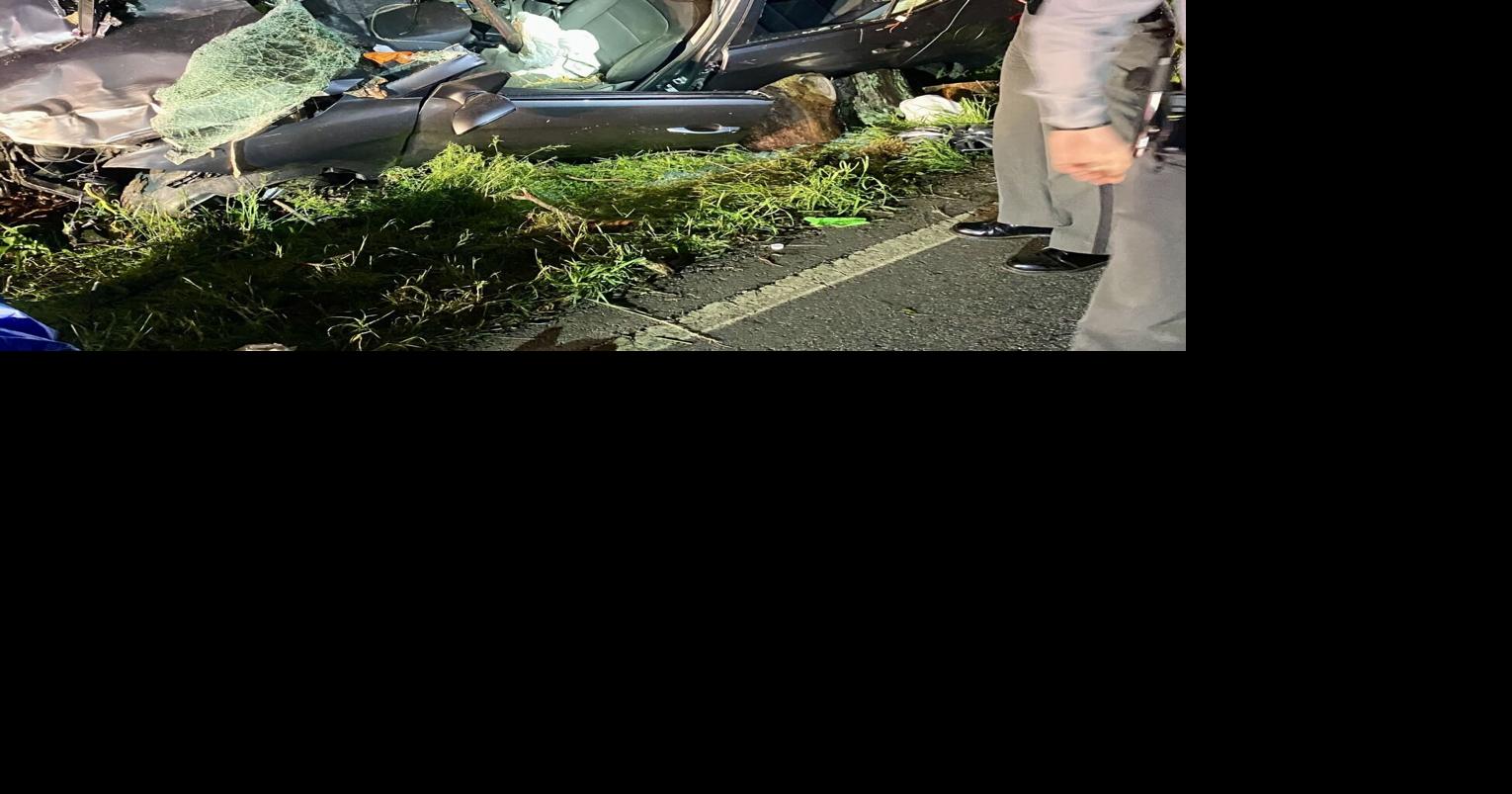 Man critically hurt when car hits tree across U.S. 21 | News ...