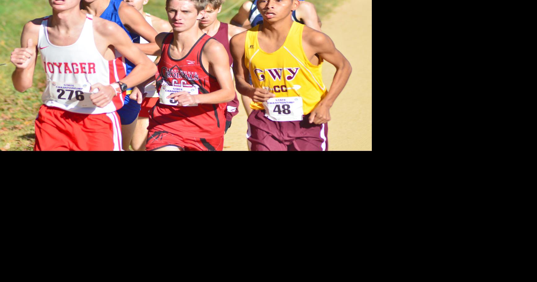 Rhodes, Miller lead Wilkes runners at state meet | Sports ...