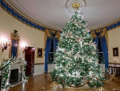 Christmas Trees 2022 Ashe Mountain Times Another White House Tree From Ashe County | | Journalpatriot.com