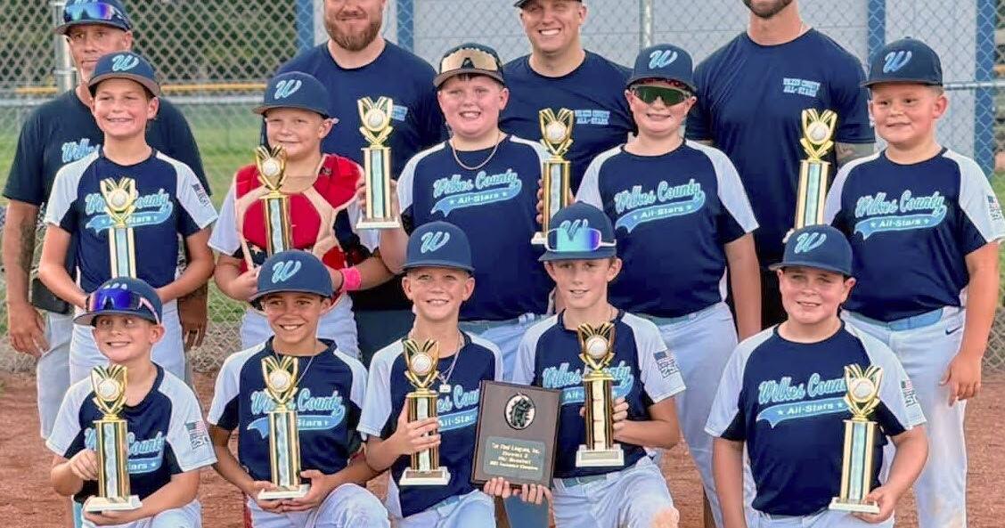 Wilkes 10U, 15U baseball clubs win district titles