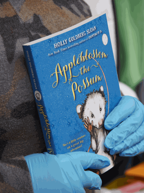 One book, one school