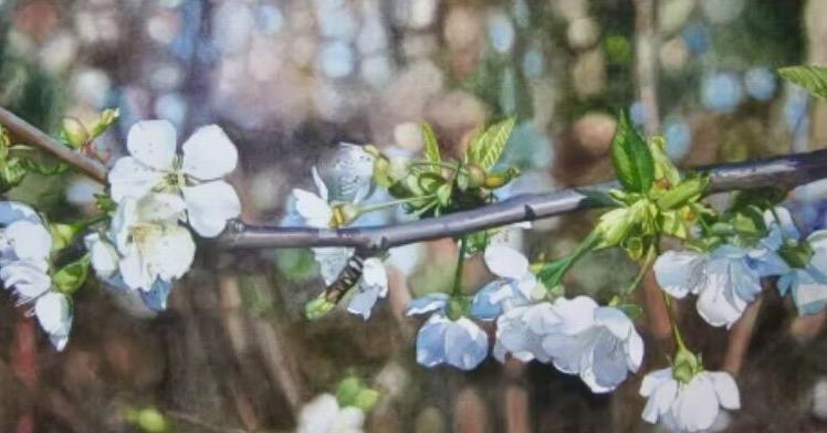 Gallery's 'Value in Water' opens Friday