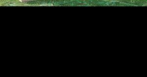 McNeil collection donated: County gives $15,000 to museum under ...