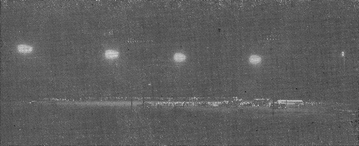 Under The Lights Sports Journalpatriot Com