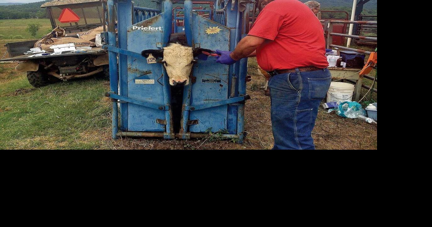 Ag support continues with trailer funding | | journalpatriot.com