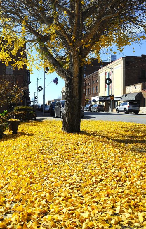 Seasonal transitions