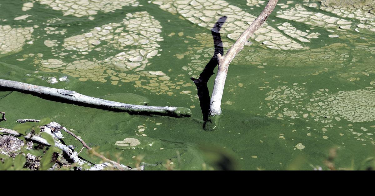 KDHE issues public health advisories for Kansas lakes with bluegreen