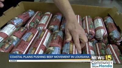 Coastal Plains Pushing Beef Movement In Louisiana