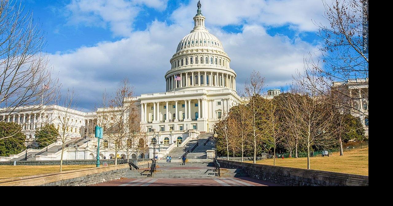 Louisiana U.S. House primaries suspended as a result of Supreme Court ruling