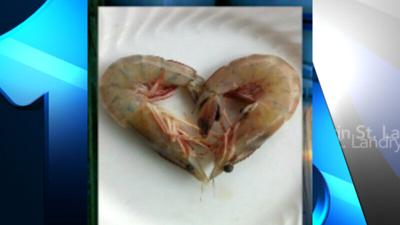 Delcambre Shrimp Festival Canceled Due to COVID-19 Concerns
