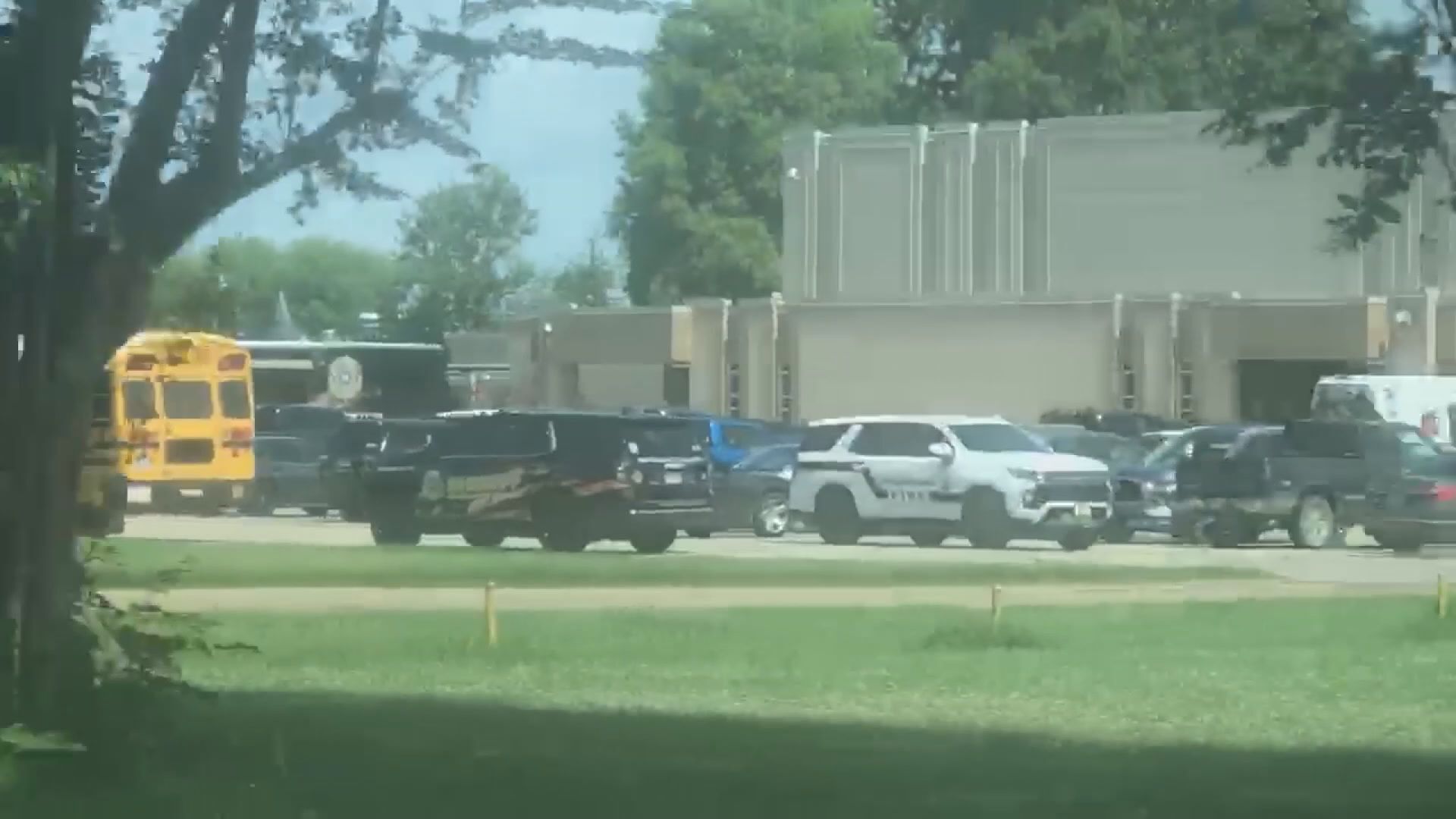 Carolina lanza erome