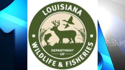 Seasons and Regulations  Louisiana Department of Wildlife and Fisheries