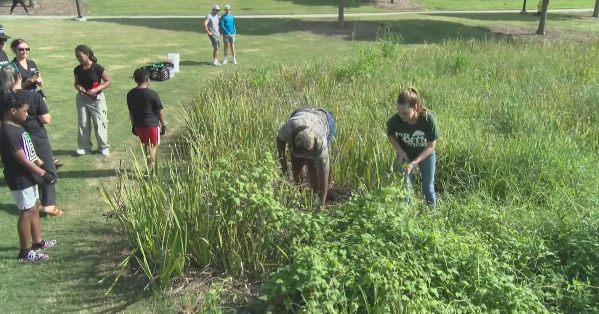 Big Brothers Big Sisters of Acadiana adopts iris garden at Moncus Park in Lafayette