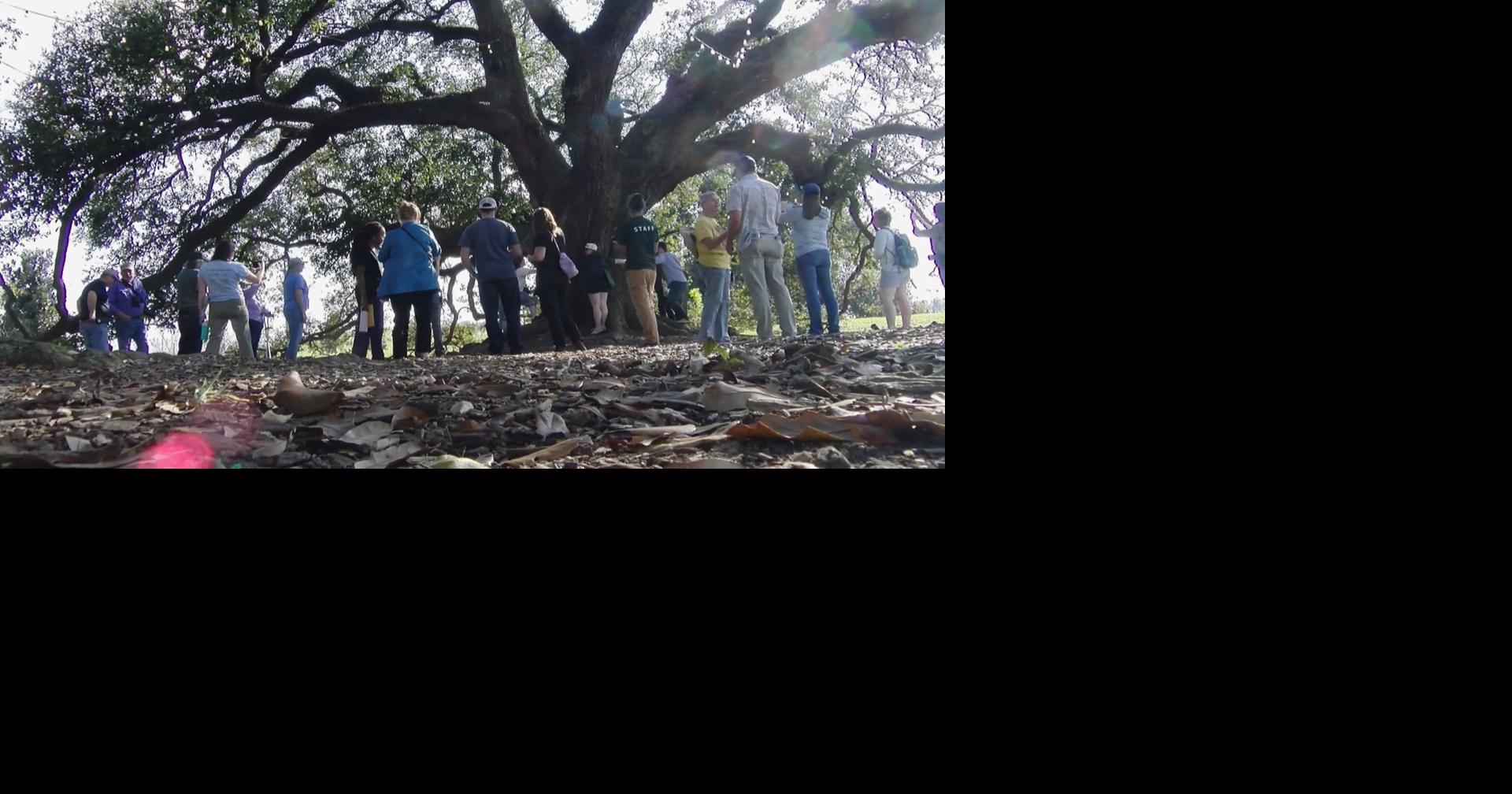 Students explore wildlife preservation at Moncus Park in Lafayette