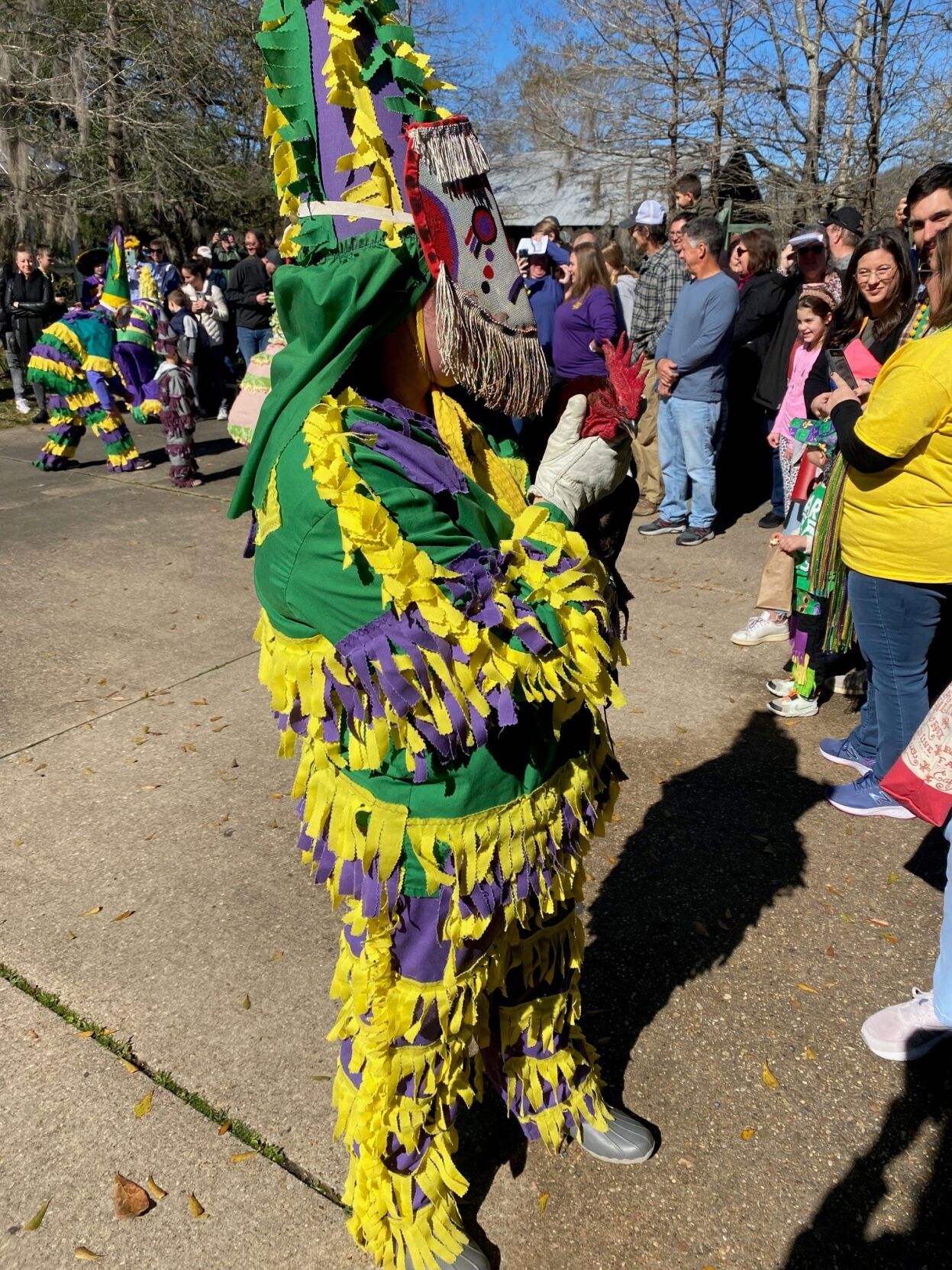 courir de mardi gras vermilionville