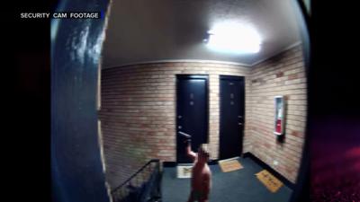 Indiana man arrested after toddler shown on live TV with handgun