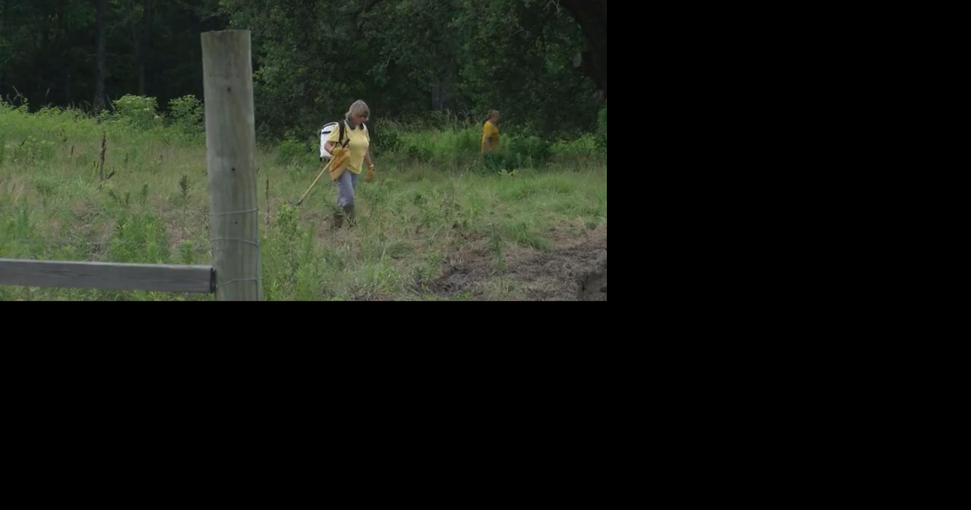Search paused in St. Landry Parish for Lafayette woman missing since 1992
