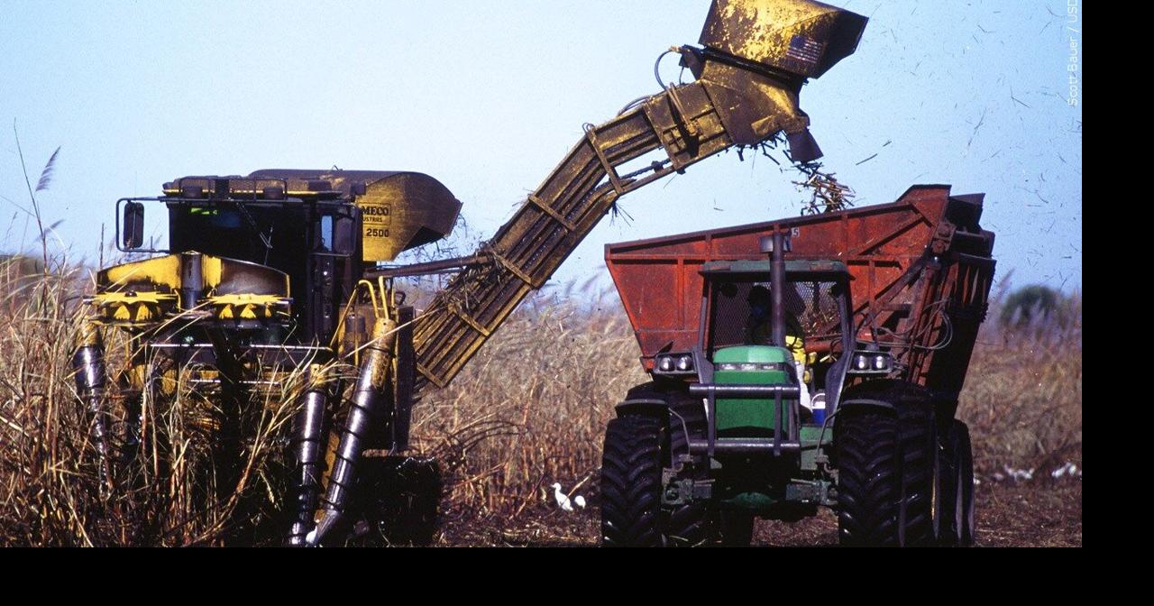 Delta Biofuel to build 100M renewable fuel facility to convert