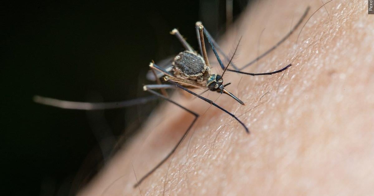 West Nile virus confirmed in 16 Louisiana parishes, including 2 in Acadiana