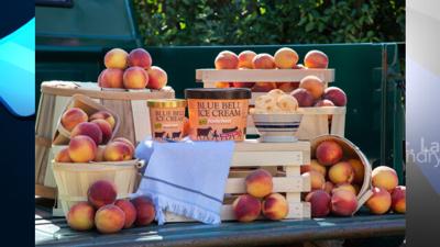 Blue Bell Peachy Peach Ice Cream