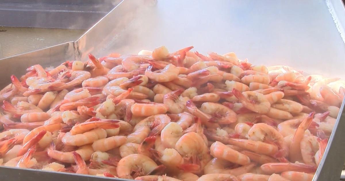Delcambre Shrimp Festival kicks off | Local | kadn.com