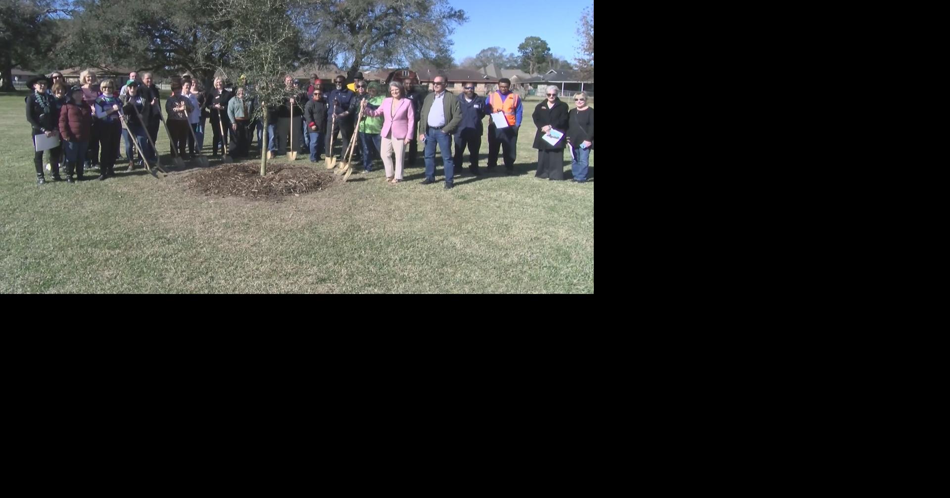 Lafayette celebrates Arbor Day with tree-planting event at Mouton Park