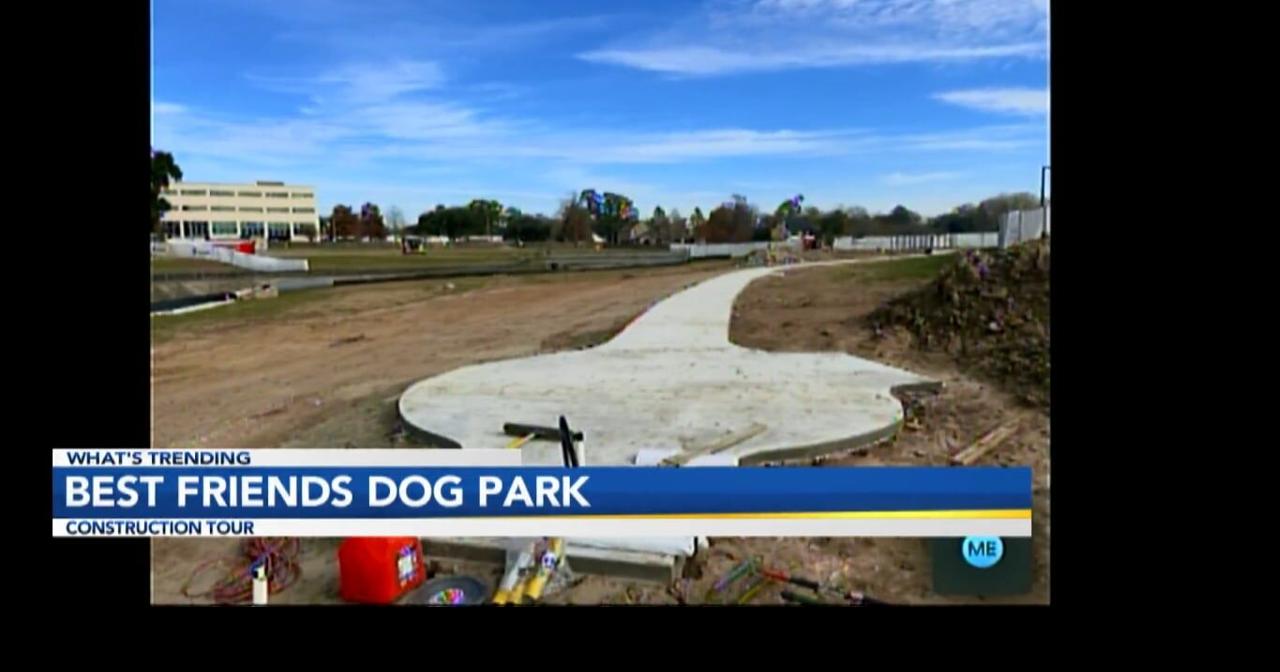 Meeting up with Moncus Park Best Friends Dog Park Features