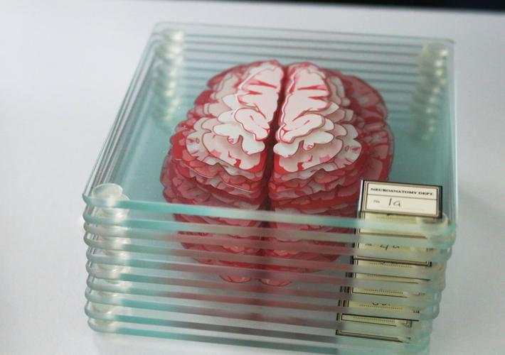 Brain Science Instrument Brains, behavior and magic | Features | kaleo.org