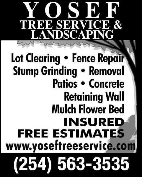Yosef Tree Service & Landscaping