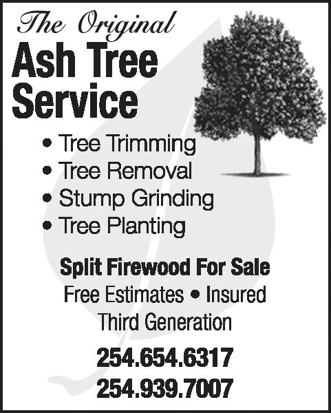 Ash Tree Services