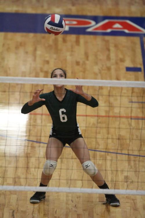 EllisonMansfieldVolleyball16.JPG