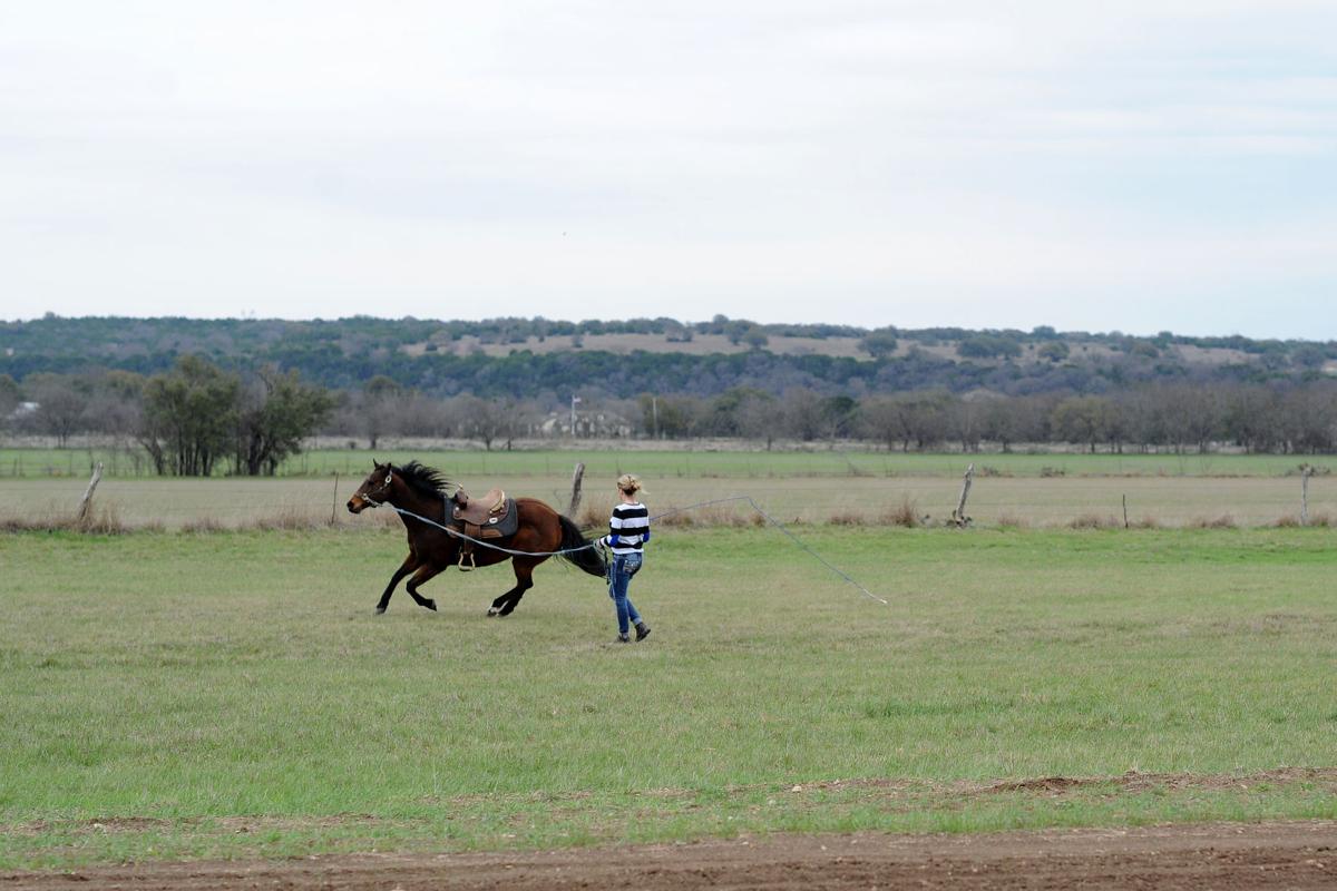 Cen-Tex Saddle Club