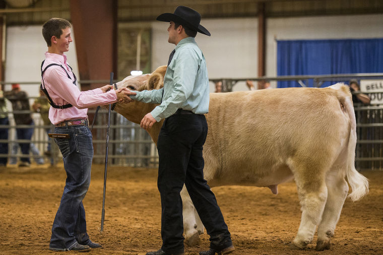 Bell County Youth Fair this week at Expo Center News