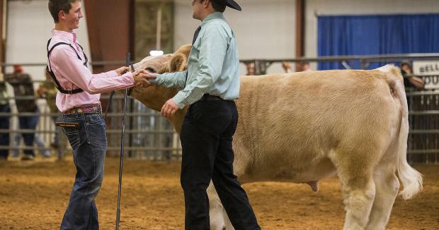 Bell County Youth Fair this week at Expo Center | News | kdhnews.com