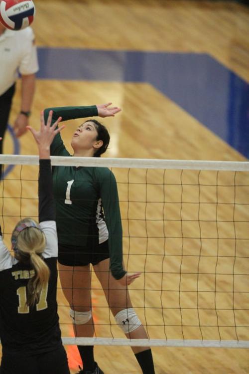 EllisonMansfieldVolleyball23.JPG