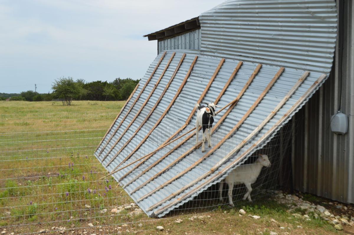 Officials Ef 2 Tornado Hit Cove Local News Kdhnews Com