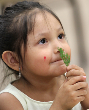 Fill garden with butterflies